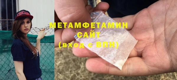 прущие грибы Ростов