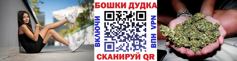 закладка  Сельцо  Каннабис сатива 